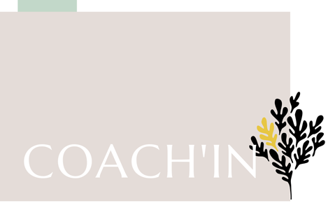 Parcours Coaching Individuel