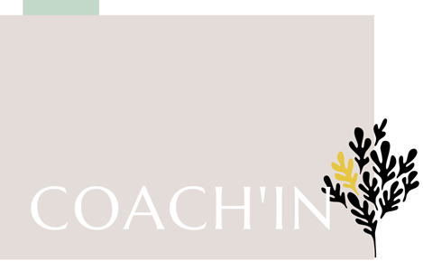 Coaching Individuel